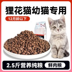 狼骑士 狸花猫猫粮专用10斤装成猫幼猫5斤拒绝挑食喂流浪猫经济实惠10kg