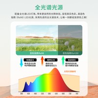 雷士 照明 隐形风扇吊灯