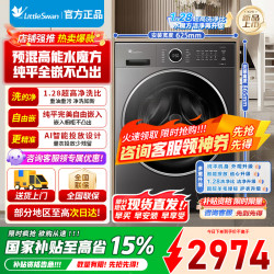 小天鹅 TD10V628PLUS