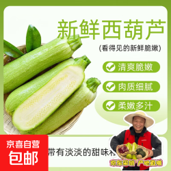 山东新鲜西葫芦 净重5.7斤