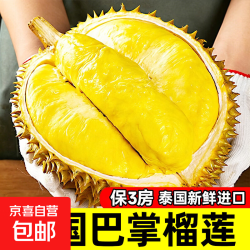 泰国进口 金枕榴莲 3-4斤 新鲜水果