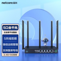磊科 多WAN口 企业级无线路由器
