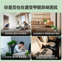 绿之源 Greensource 绿之源 活性锰分解片 Mn25 毡 新房新车衣柜除醛锰片 10片装 适用20平以内 除醛率99%