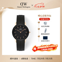 Daniel Wellington 女士手表 流金系列 DW00100413 32MM