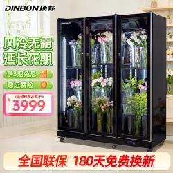 顶邦 DINGBANG) 鲜花保鲜柜