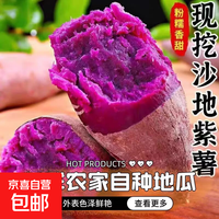 正宗沙地精品紫薯新鲜现挖软糯香甜番薯紫精选地瓜 产地直发 含箱2斤 中果 单果(3两-6两)