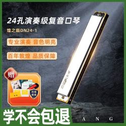 敦煌 24孔复音口琴
