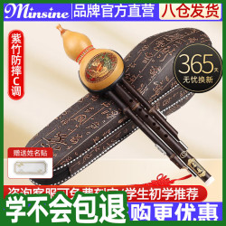 名森 防摔凤尾紫竹葫芦丝C调初学者小儿童民族吹奏乐器