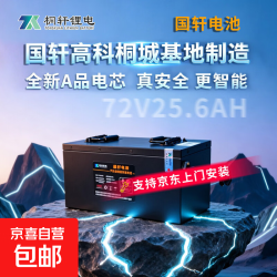 国轩高科 Guoxuan 高科 72V25.6Ah 电芯+5A充电器