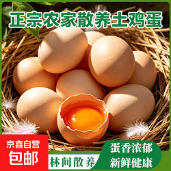 京喜 新鲜鸡蛋农家散养土鸡蛋虫草谷物饲养鸡蛋笨鸡蛋现捡现发单枚40g 土鸡蛋10枚
