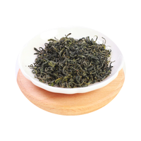 崂卓 崂山绿茶 明前头春 500g 礼盒装