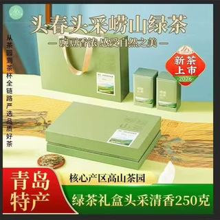 崂卓 2026新茶头采清香型绿茶 250g 礼盒装