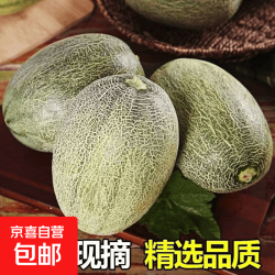 山东时令晓蜜哈密瓜西周蜜新鲜孕妇京东快递果园现摘哈密瓜 哈密瓜净重8-9斤