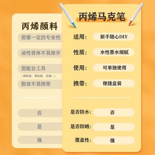 爱好 PM5620 丙烯马克笔 12色