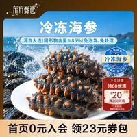 东方甄选 冷冻海参11-15根/500g