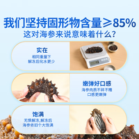 东方甄选 冷冻海参 大连产 500g