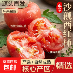 山西现摘沙瓤西红柿番茄可生吃 5斤