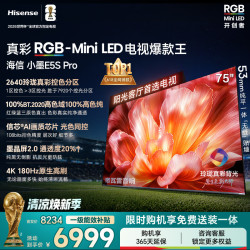 海信 小墨系列 75E5S-PRO 液晶电视 75英寸
