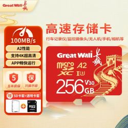 长城 内存卡32G大容量高速监控摄像头TF卡行车记录仪手机储存卡
