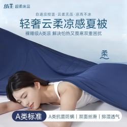 纺王 夏季凉感冰丝空调薄被子 150cm*200cm