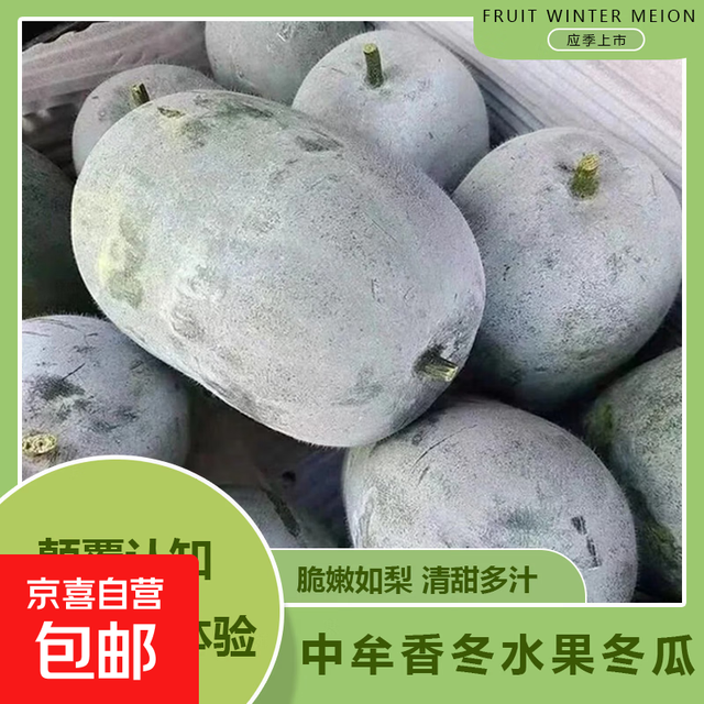 河南 小冬瓜 新鲜现摘蔬菜 迷你水果冬瓜 火锅煲汤炒菜 水果冬瓜净重3.5斤-4.5斤