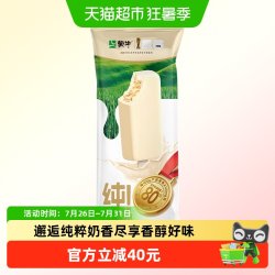 蒙牛 纯!牛奶味冰淇淋 65g*30支
