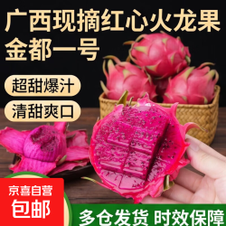 京喜 广西现摘红心火龙果金都一号 2粒装（中果200g+）净重0.8斤