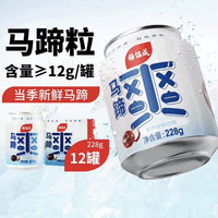 88VIP：杨协成 原味迷你马蹄爽马蹄水228g*12罐
