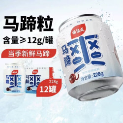 杨协成 原味迷你马蹄爽马蹄水228g*12罐