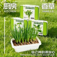 小花农 儿童蔬菜植物生长观察实验套装玩具