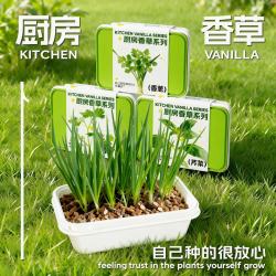 小花农 儿童蔬菜植物生长观察实验套装玩具