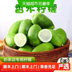 农鲜淘 海南香水柠檬 80-100g 5-6个