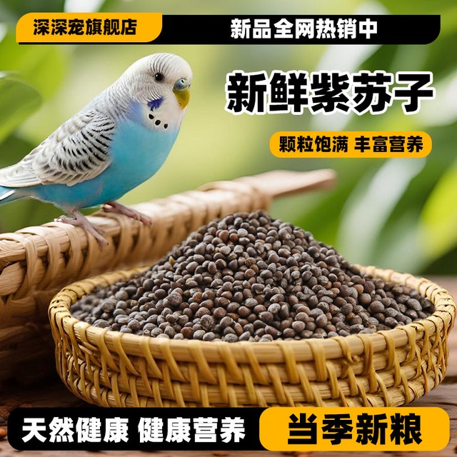 深深宠 鹦鹉鸟食饲料紫苏子紫苏籽虎皮玄凤牡丹小太阳种子鸟粮营养鸟食物