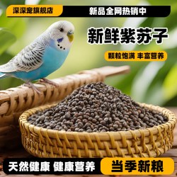 深深宠 鹦鹉鸟食饲料紫苏子紫苏籽虎皮玄凤牡丹小太阳种子鸟粮营养鸟食物