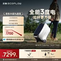 ECOFLOW 正浩大容量快充户外移动电源220V