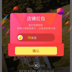 京东新秀丽女包、关注 10 京豆