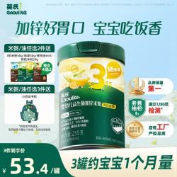 英氏 YeeHoO Enoulite 英氏 YeeHoO 幼儿米粉 混合谷物加锌营养米粉 宝宝辅食高铁米糊3阶258g