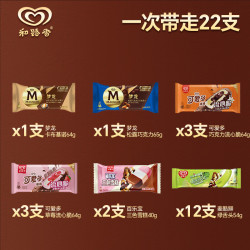 和路雪 梦龙冰淇淋雪糕松露巧克力/卡布基诺/冰棍多口味组合装 22支