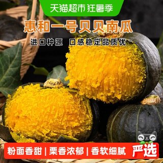 繁花似锦 惠和一号贝贝小南瓜