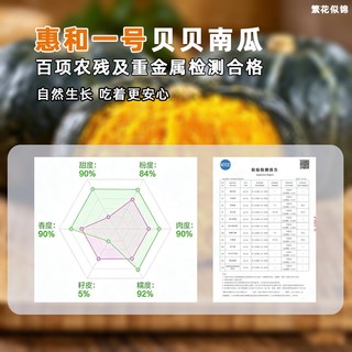 繁花似锦 惠和一号贝贝小南瓜