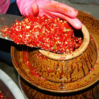 贵领香 糟辣椒 微辣 1.5kg 瓶装
