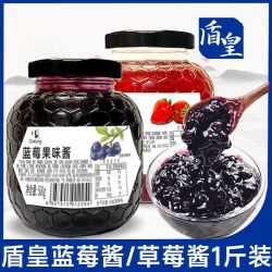 盾皇 蓝莓酱 500g 含果肉粒 蓝莓果酱 夹心酱 烘焙奶茶冲饮专用 涂抹面包