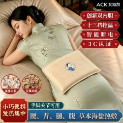艾斯凯 电热海盐理疗袋热敷盐袋粗盐艾草背肩腰膝暖宫肚子热敷包