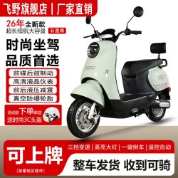 飞野 电动车小龟王电动车电瓶车女士轻便代步车48v60v电动摩托车长续航电摩
