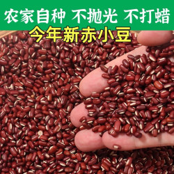2斤赤小豆新货 农家特产长粒赤小豆正宗非红豆可搭配薏米仁煲汤煮