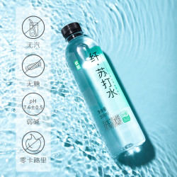 依能 锌强化弱碱性苏打水饮料无糖0脂0卡饮用水500ml*12瓶