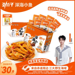 劲仔 网红小鱼 香辣味 40包 湖南零食