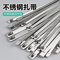 不锈钢简单金属自锁式电缆扎线带捆绑束线带户外防腐蚀耐高温紧固