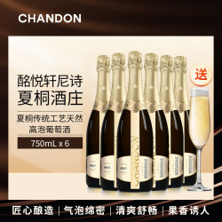 轩尼诗 夏桐 高泡葡萄酒 750mL 香槟杯