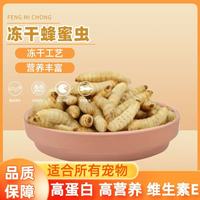 冻干蜂蜜虫玉米虫葡萄虫包邮鸟食蜜袋鼯绣眼仓鼠饲料守宫零食10g